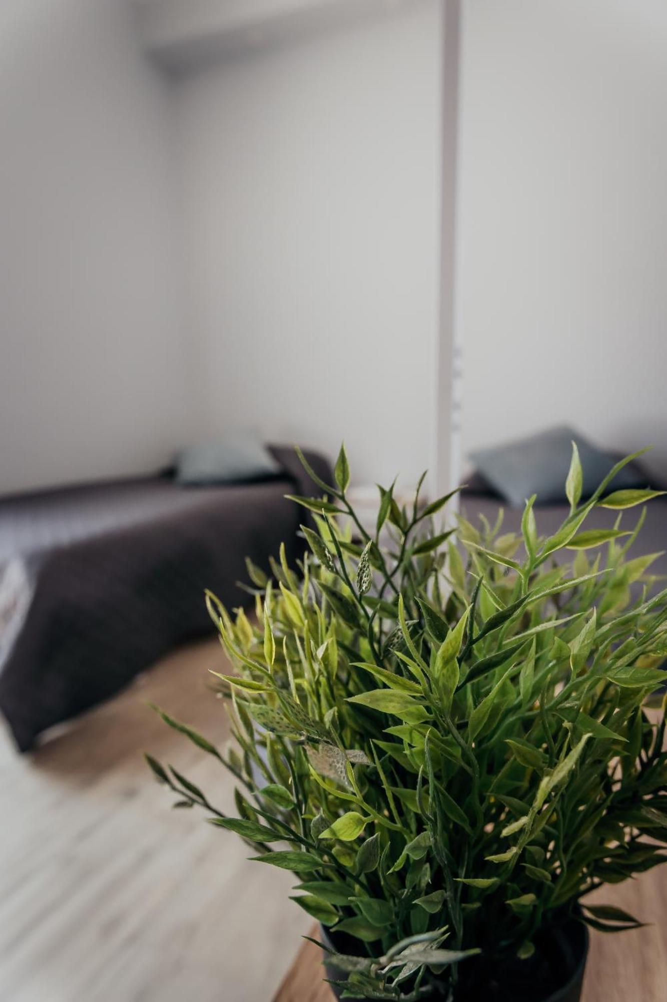 Fcoairporthouse Apartment Фиумичино Екстериор снимка